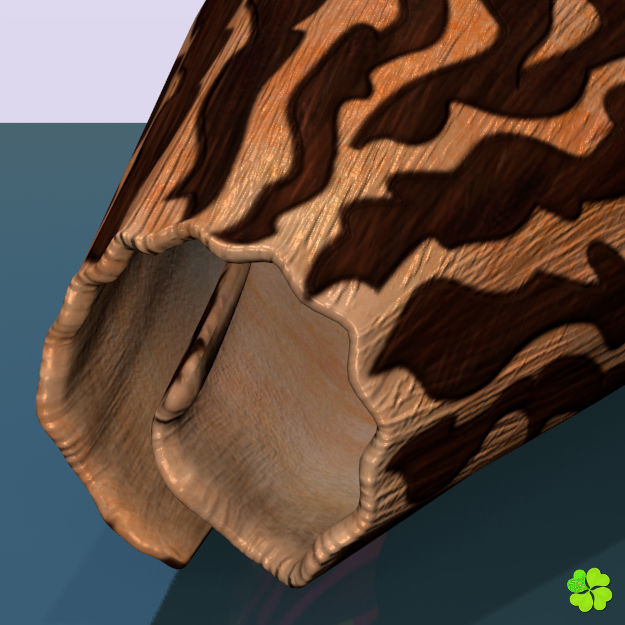 Conus shell low poly Low-poly 3D model_79