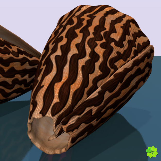 Conus shell low poly Low-poly 3D model_19