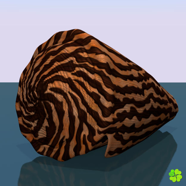 Conus shell low poly Low-poly 3D model_41