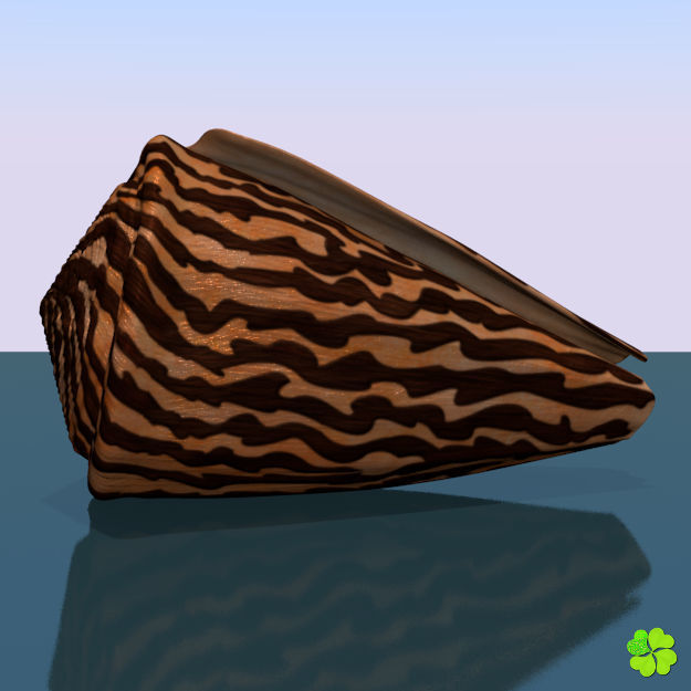 Conus shell low poly Low-poly 3D model_56