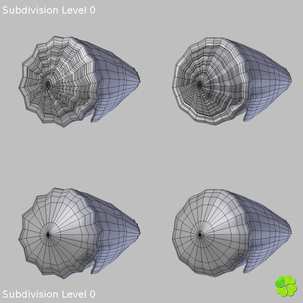 Conus shell low poly Low-poly 3D model_93