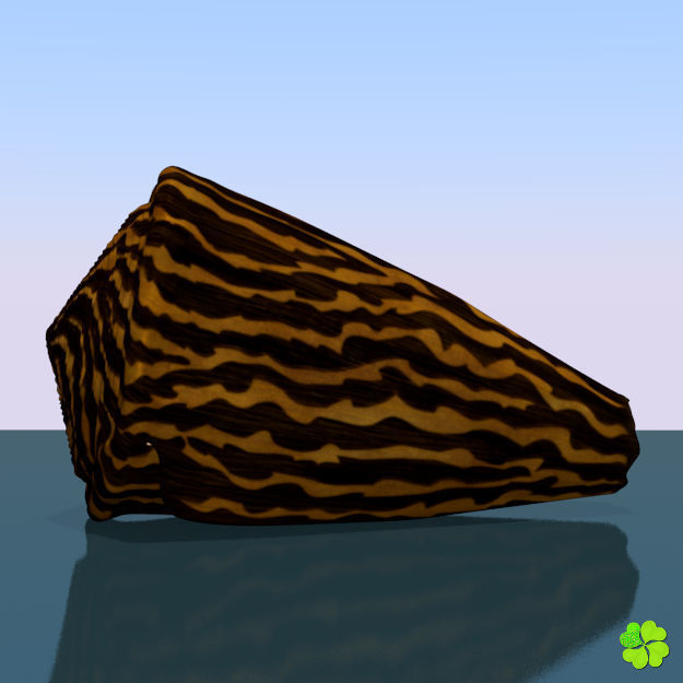 Conus shell low poly Low-poly 3D model_51