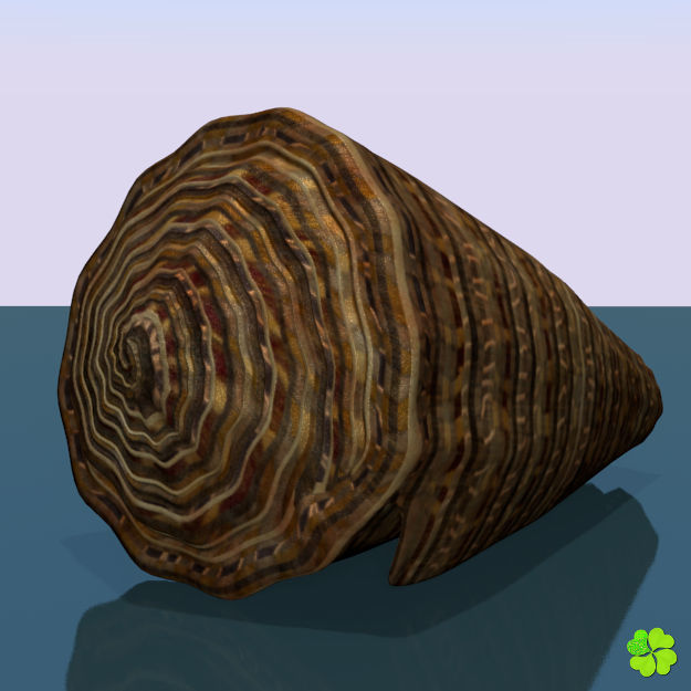 Conus shell low poly Low-poly 3D model_39