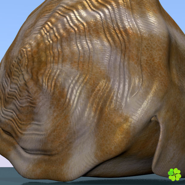 Conus shell low poly Low-poly 3D model_70