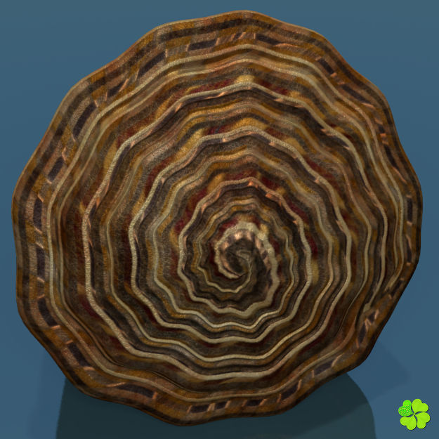 Conus shell low poly Low-poly 3D model_62