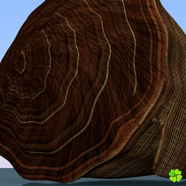 Conus shell low poly Low-poly 3D model_68