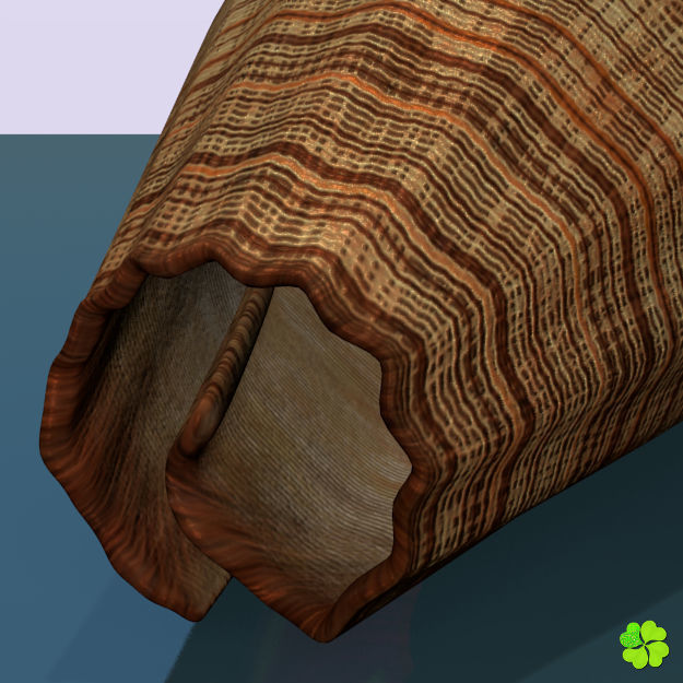 Conus shell low poly Low-poly 3D model_76