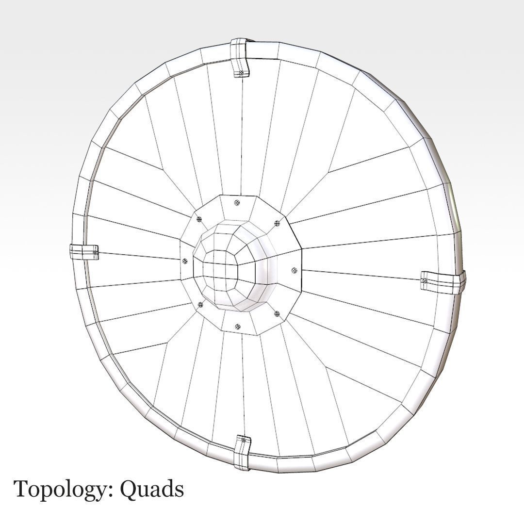 Parma Shield Low-poly 3D model_10