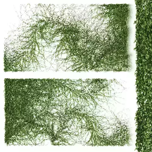 Set of 2 ivy patterns for walls or fence 3D model
