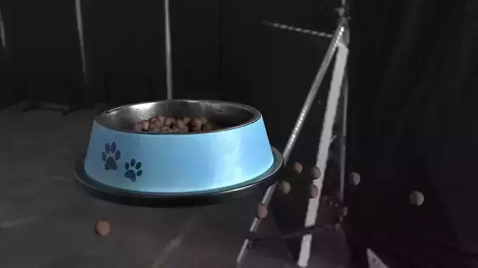 Pet Bowl