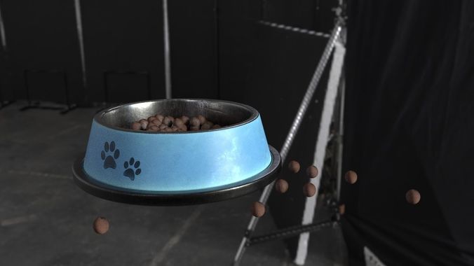 Pet Bowl 3D model