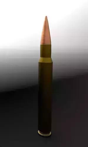 300 Win Mag Sniper round