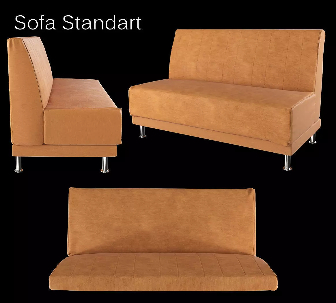 Standard Sofa  3D model_0