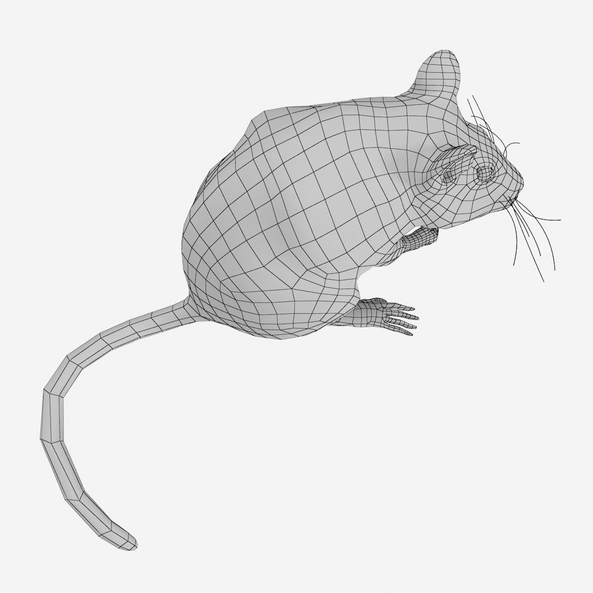 Rat with fur 3D model_11