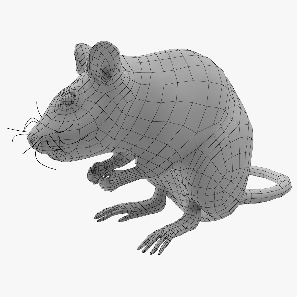 Rat with fur 3D model_13