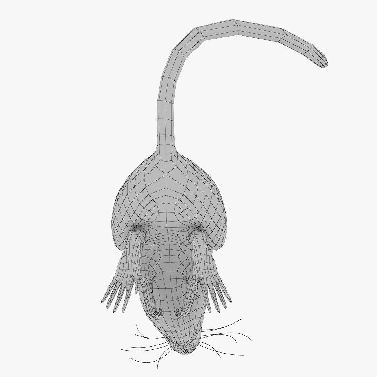 Rat with fur 3D model_15