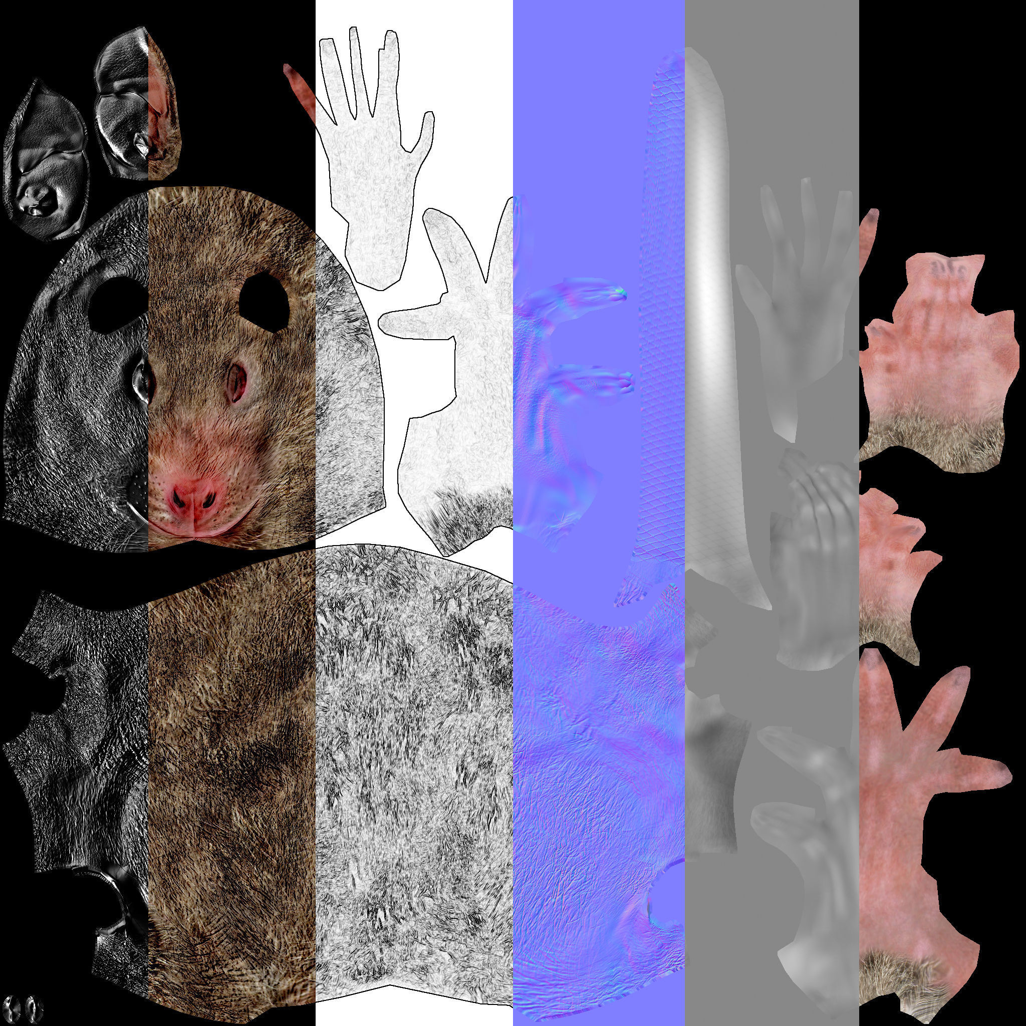 Rat with fur 3D model_17