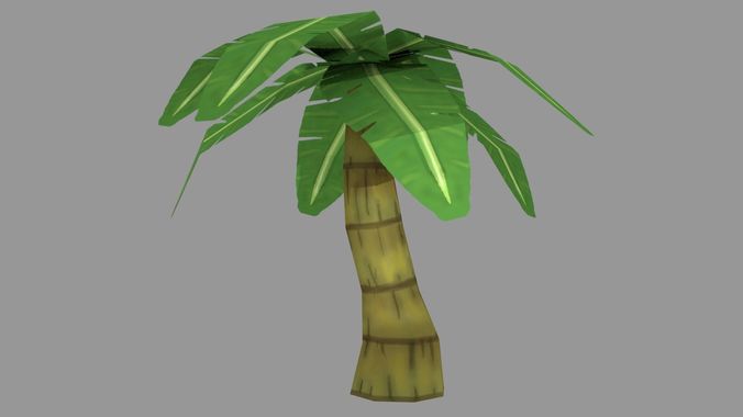 Low poly coconut tree texture  Low-poly 3D model