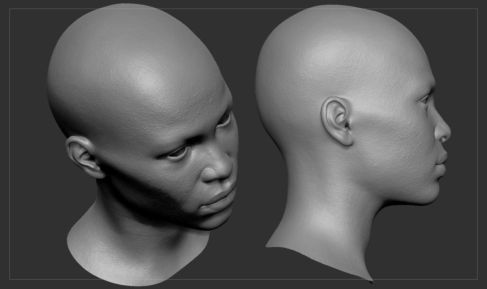 Average Black Female Head Basemesh 3D model_3
