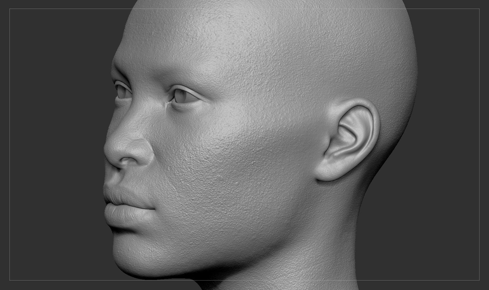 Average Black Female Head Basemesh 3D model_6