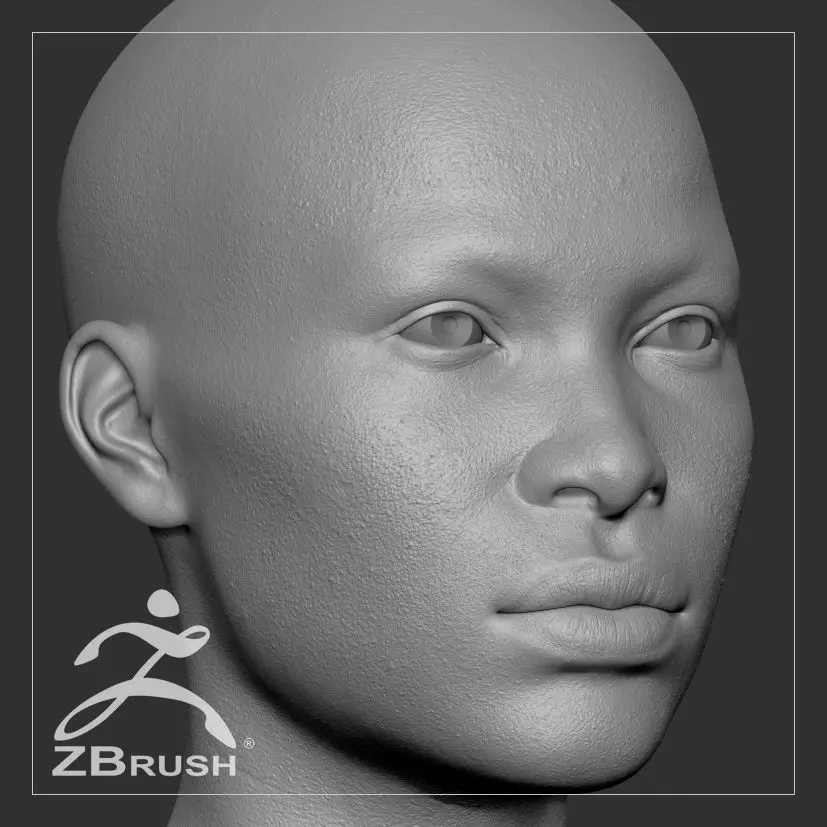 Average Black Female Head Basemesh 3D model_0