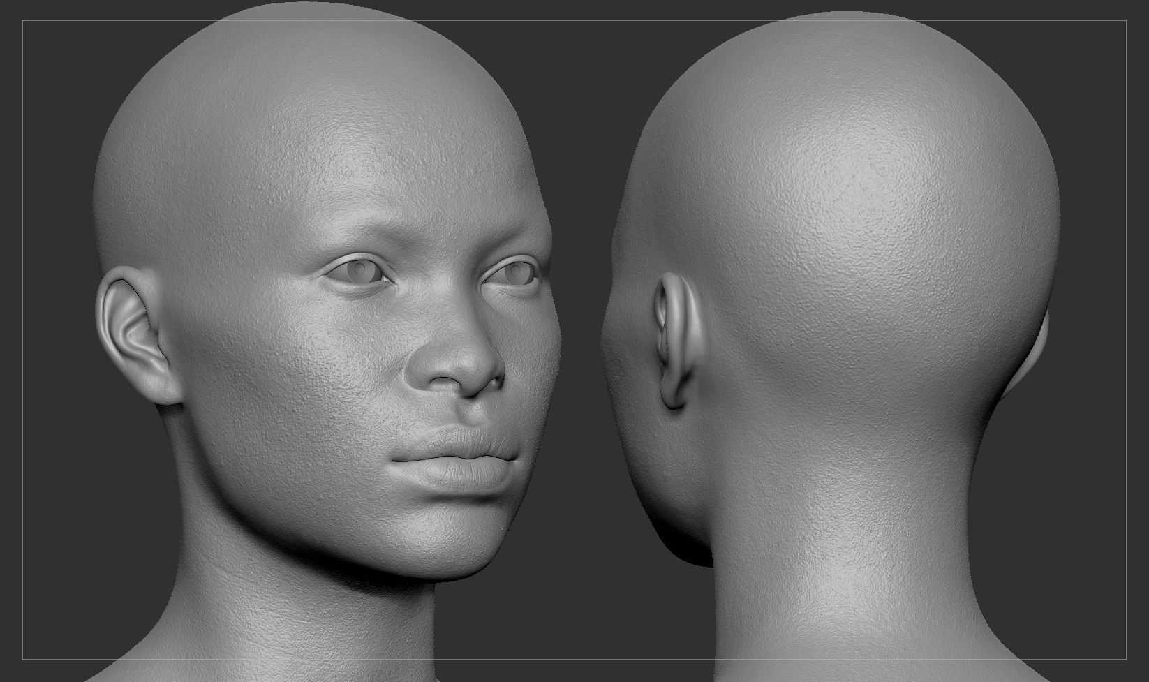 Average Black Female Head Basemesh 3D model_2