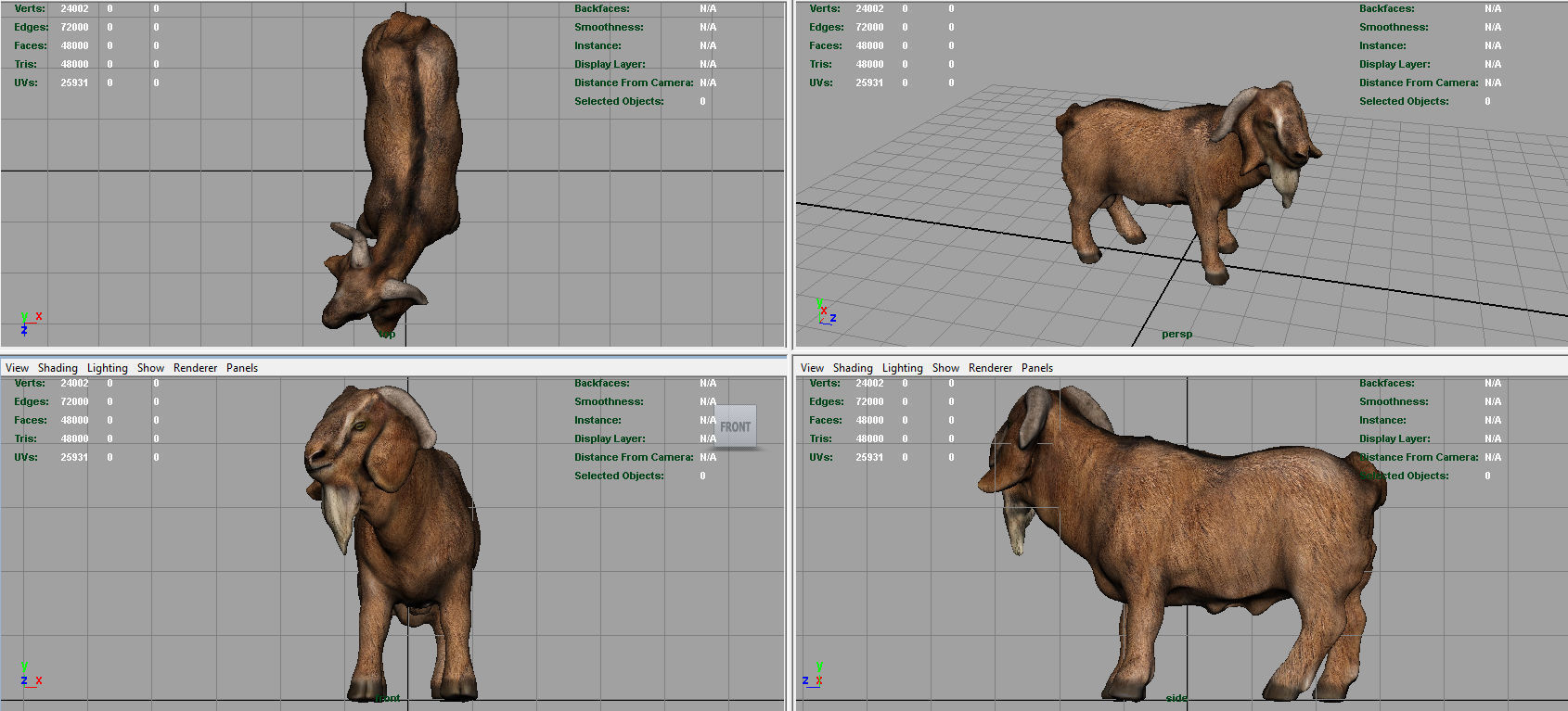 Domestic Goat Low-poly 3D model_8