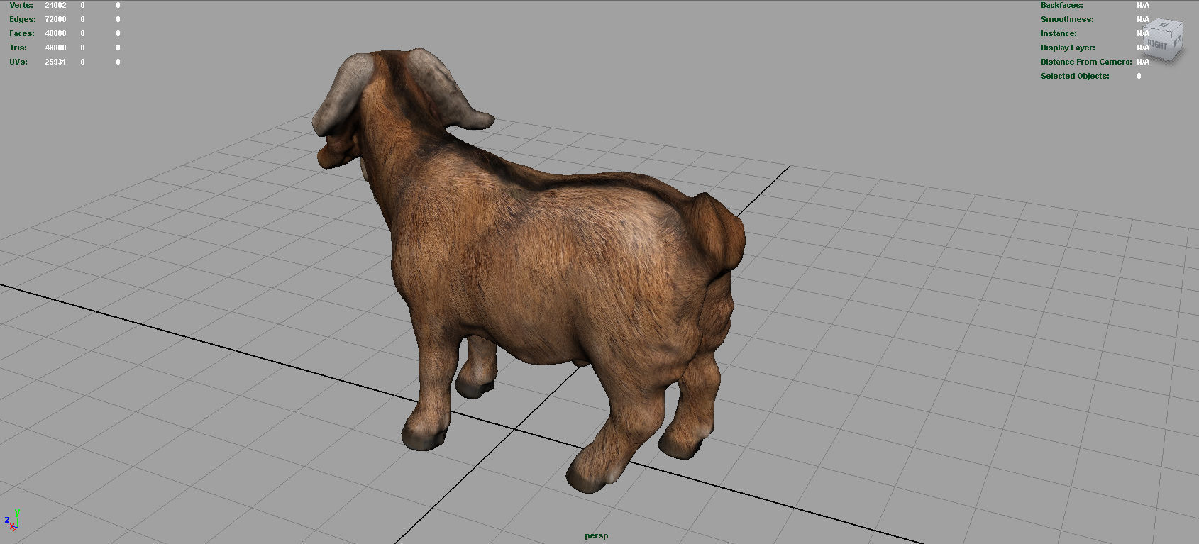 Domestic Goat Low-poly 3D model_12