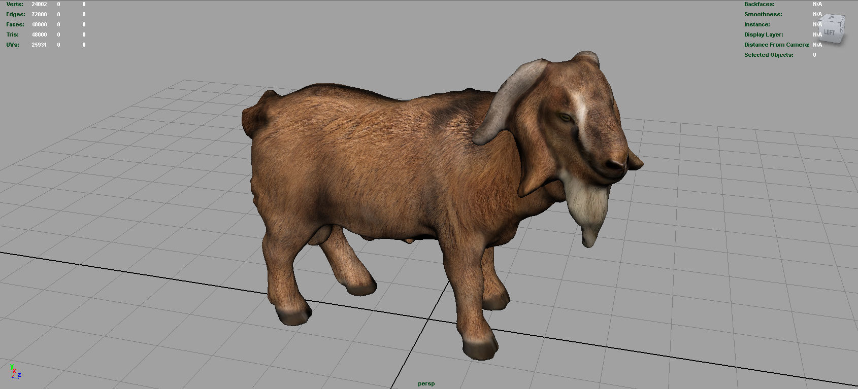Domestic Goat Low-poly 3D model_3