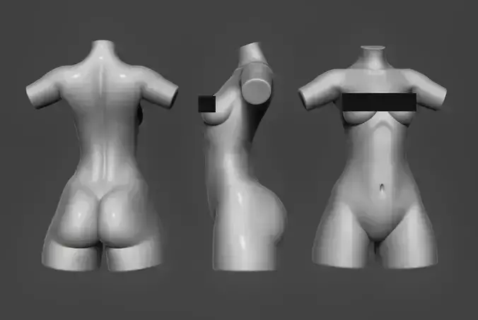 Female Torso 09