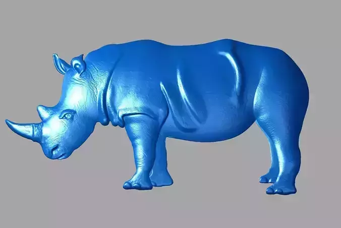 White Rhinoceros