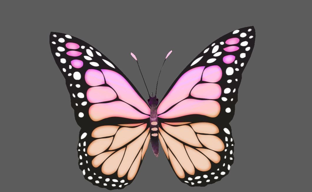 Flying Butterfly  Rigged Model 3D model_4