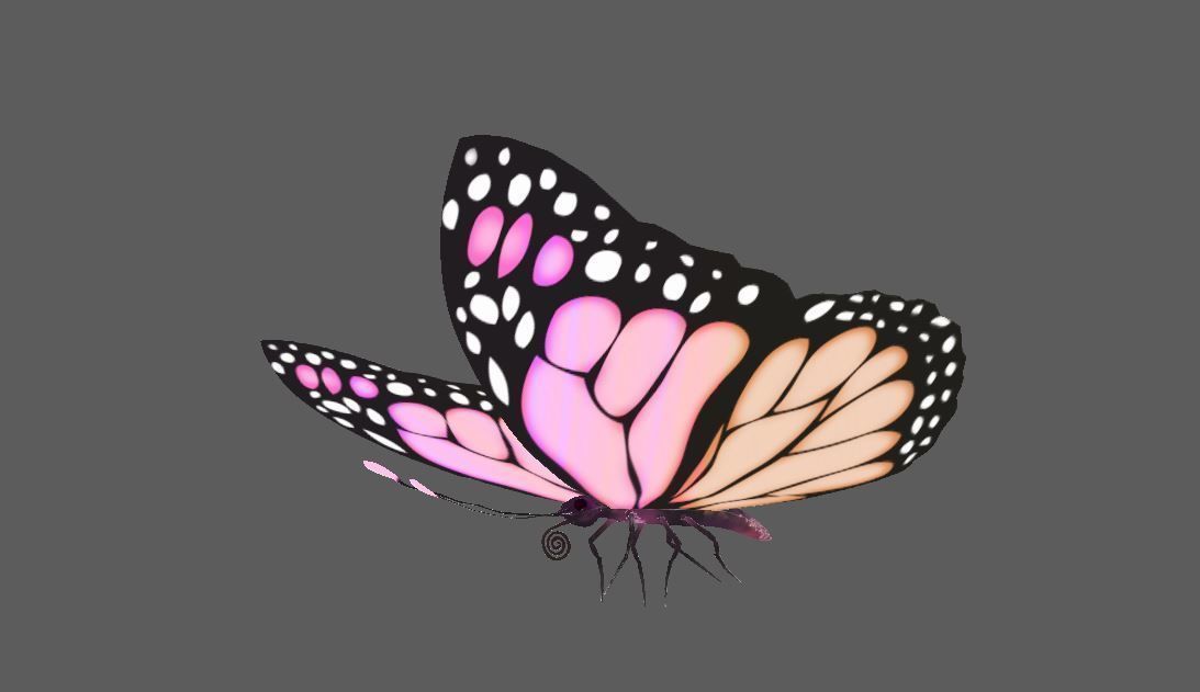 Flying Butterfly  Rigged Model 3D model_3