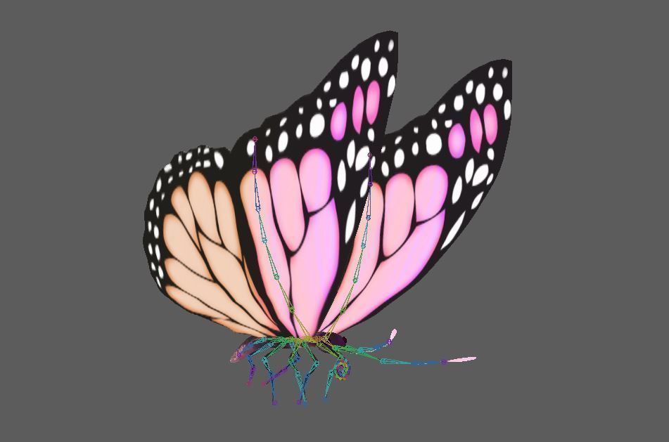 Flying Butterfly  Rigged Model 3D model_2