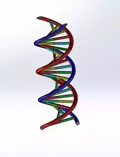 DNA strand