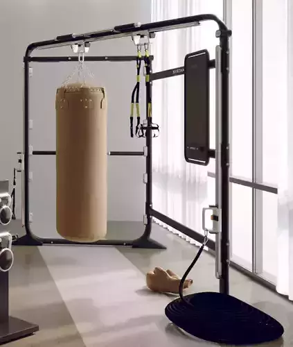 Matrix fitness TRX wall