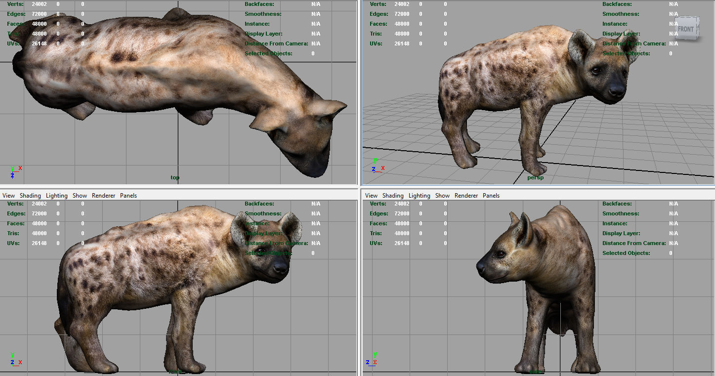 Hyena Low-poly 3D model_6