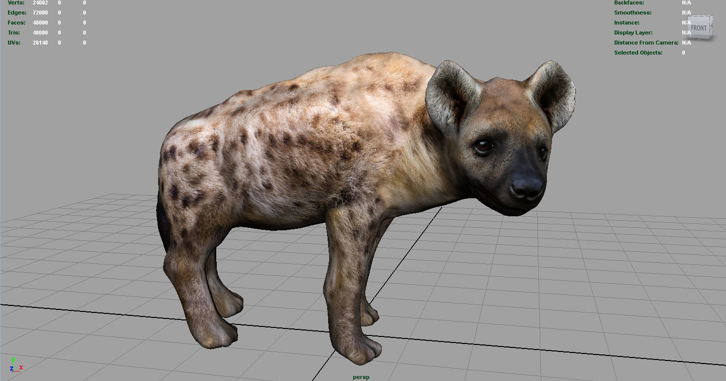 Hyena Low-poly 3D model_2