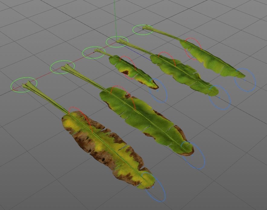 Banana leaves Low-poly 3D model_4