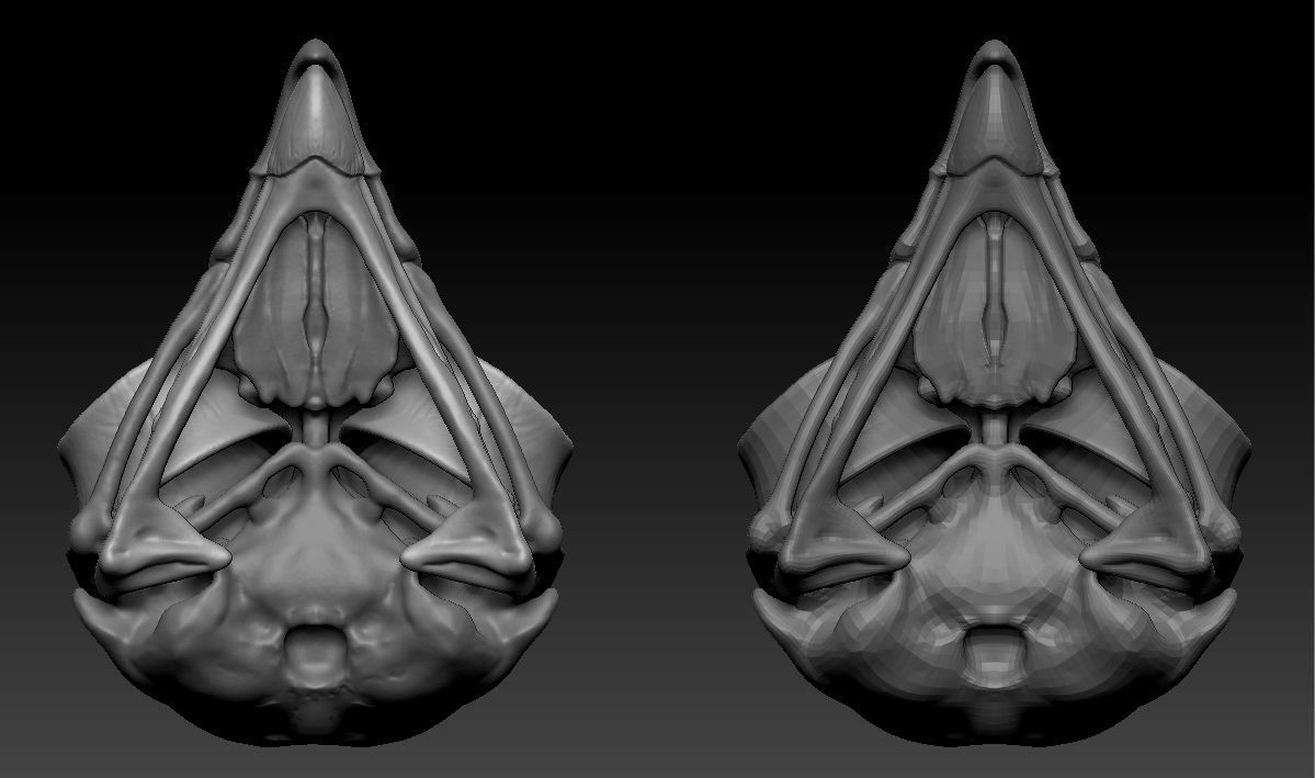 Owl skull 3D print model_18