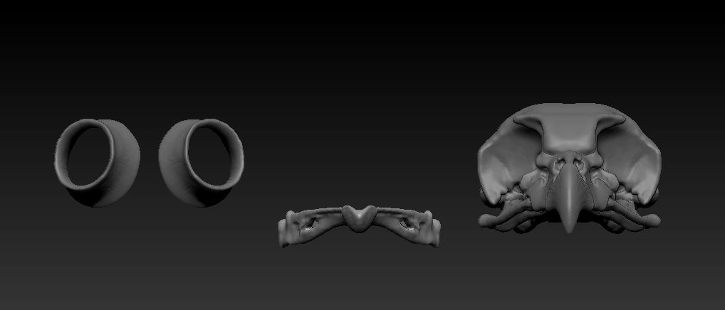 Owl skull 3D print model_11