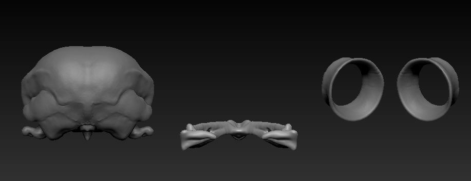Owl skull 3D print model_10