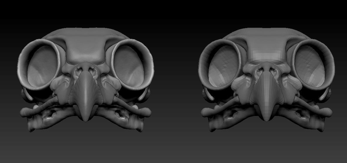 Owl skull 3D print model_19