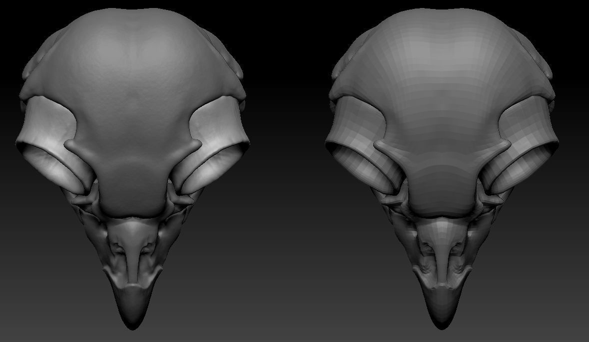 Owl skull 3D print model_17