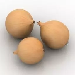 onion three onions Free 3D model