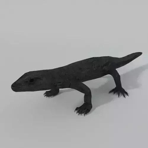 Komodo Dragon Low-poly 3D model