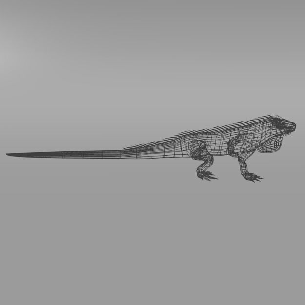 Iguana Low-poly 3D model_3