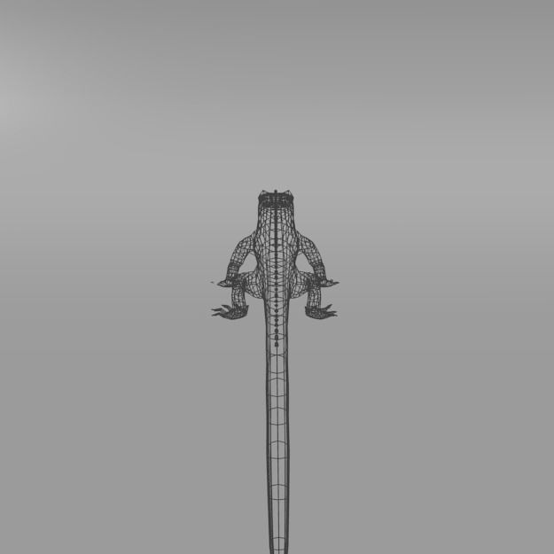 Iguana Low-poly 3D model_5