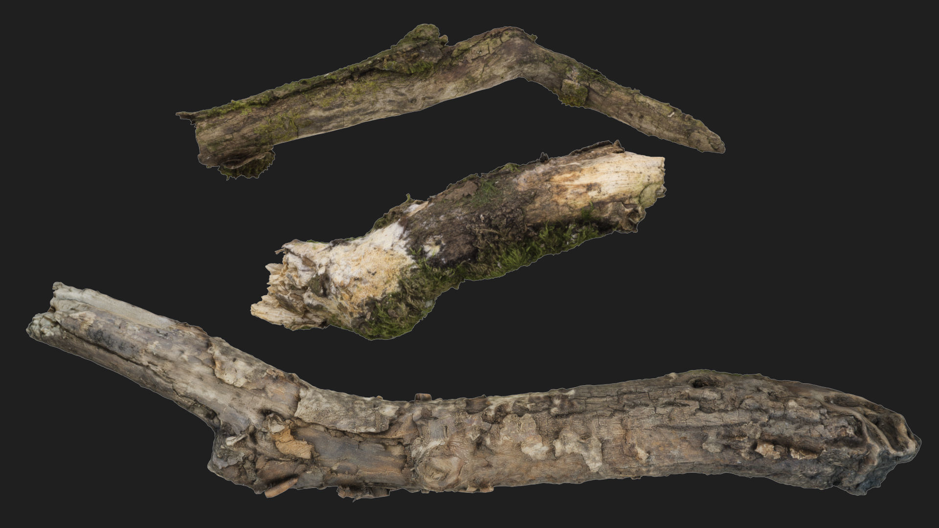 Moss covered sticks Vol 1 Low-poly 3D model_1