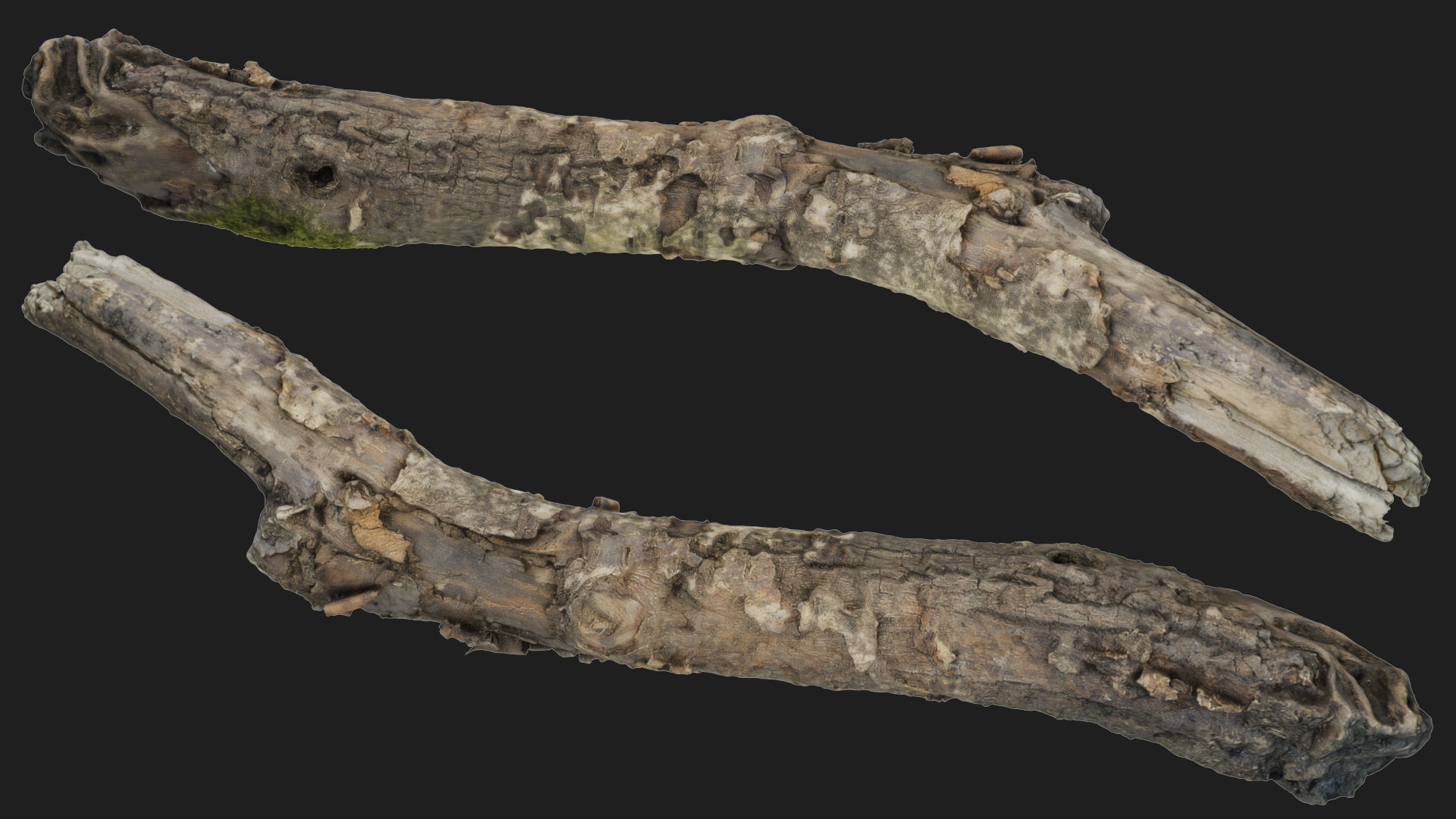 Moss covered sticks Vol 1 Low-poly 3D model_3